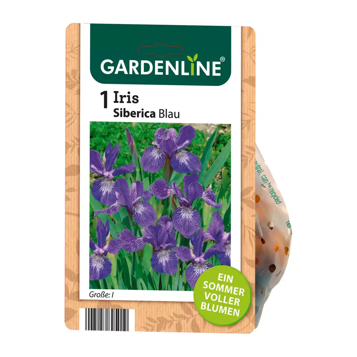 Bild 4 von GARDENLINE Stauden / Knollen