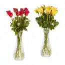 Bild 1 von GARDENLINE Rosen