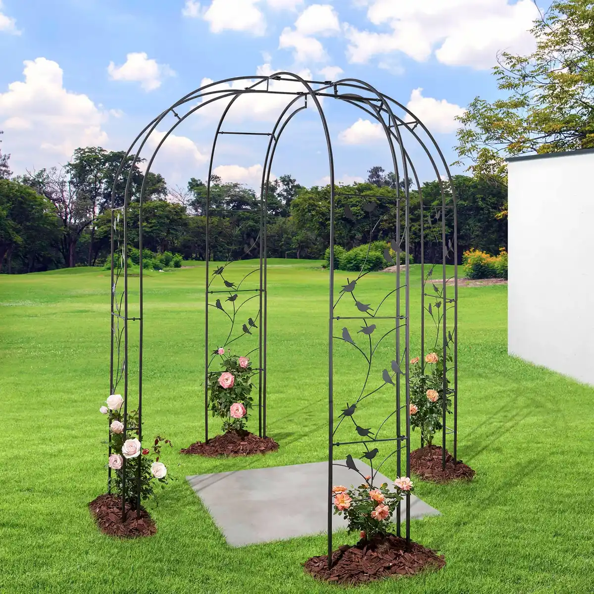 Bild 4 von BELAVI Rosenbogen