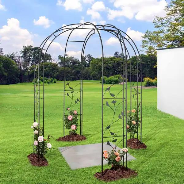 Bild 4 von BELAVI Rosenbogen