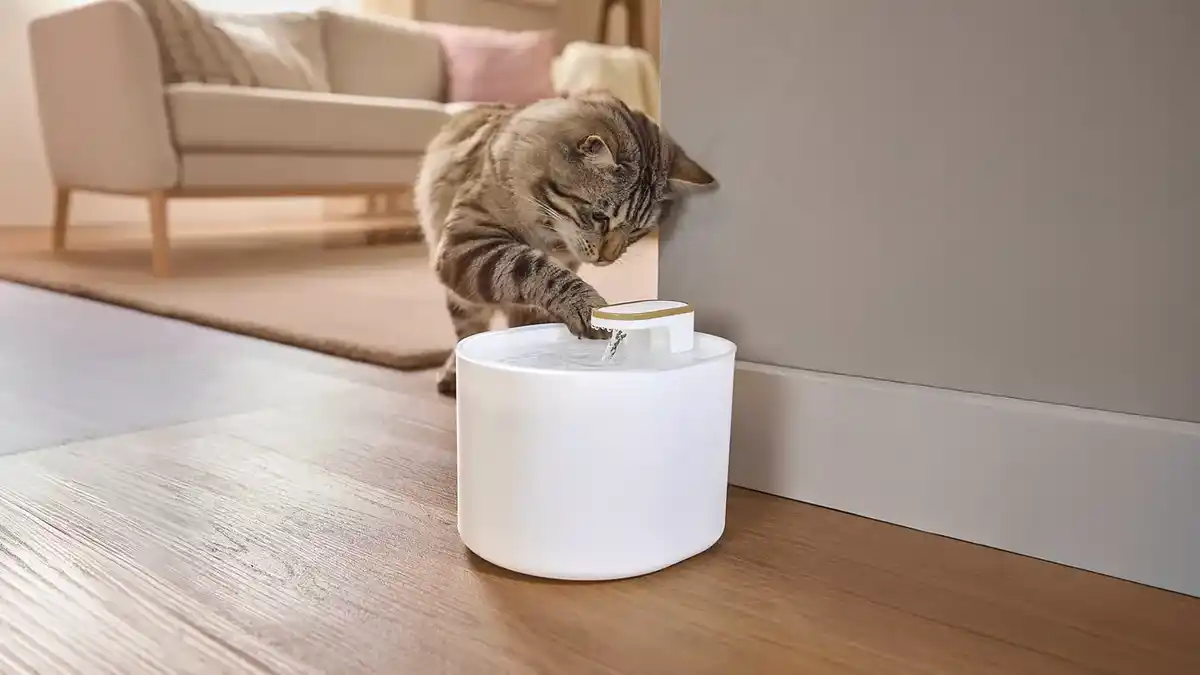 Bild 1 von Trinkbrunnen für Haustiere