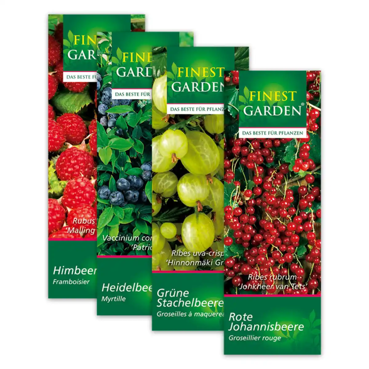 Bild 1 von Finest Garden Beerensträucher