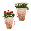 Bild 1 von GARDENLINE Rosen in Dekotasche