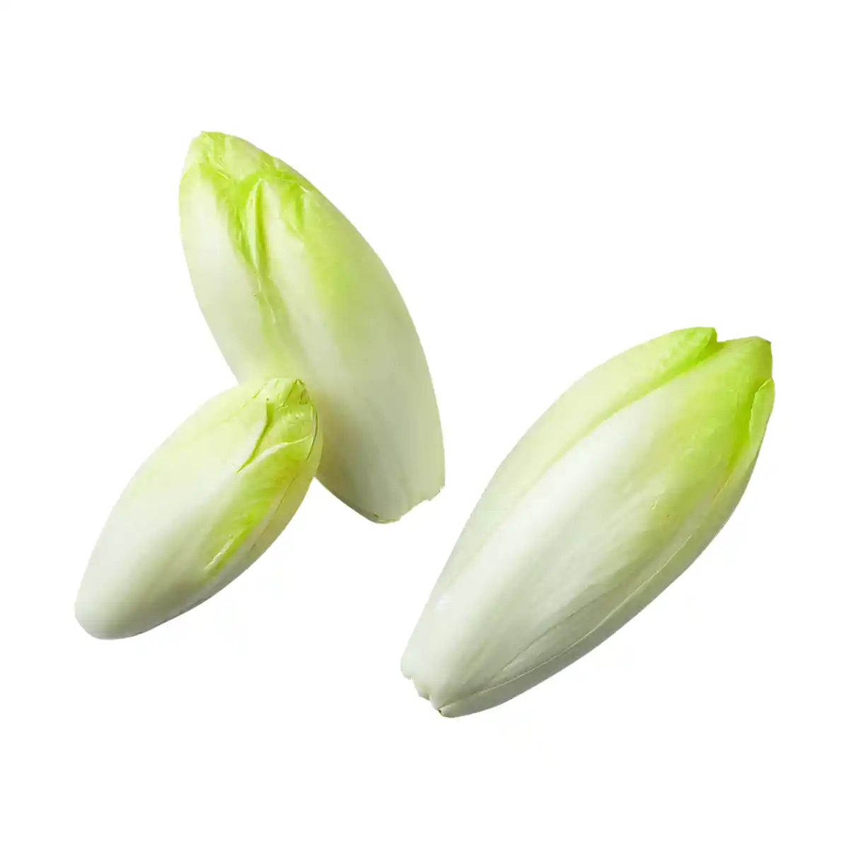 Bild 1 von Chicorée