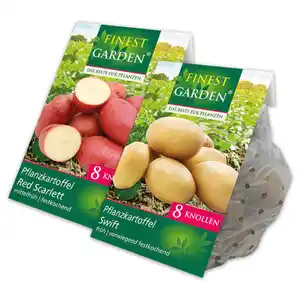Finest Garden Pflanzkartoffel Raritäten