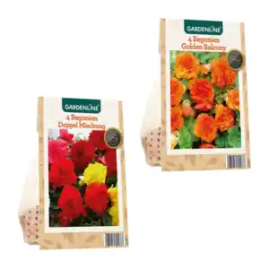 GARDENLINE Knollenbegonien