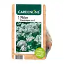 Bild 2 von GARDENLINE Stauden / Knollen