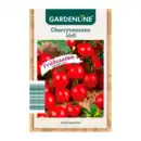 Bild 3 von GARDENLINE Sämereien Frühsaat