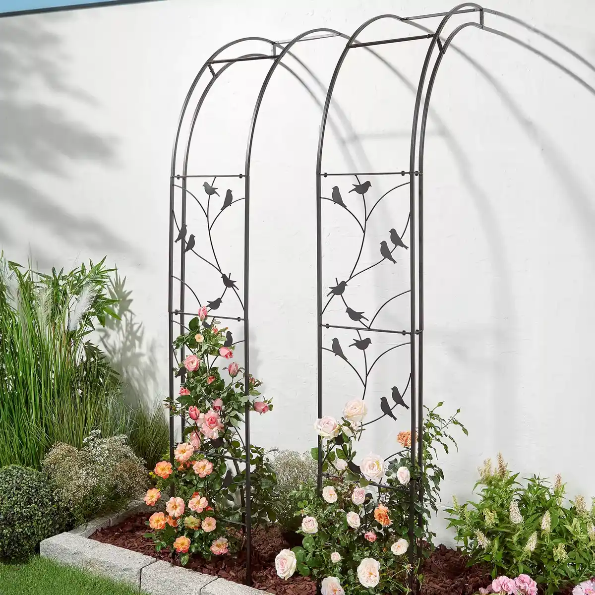 Bild 3 von BELAVI Rosenbogen