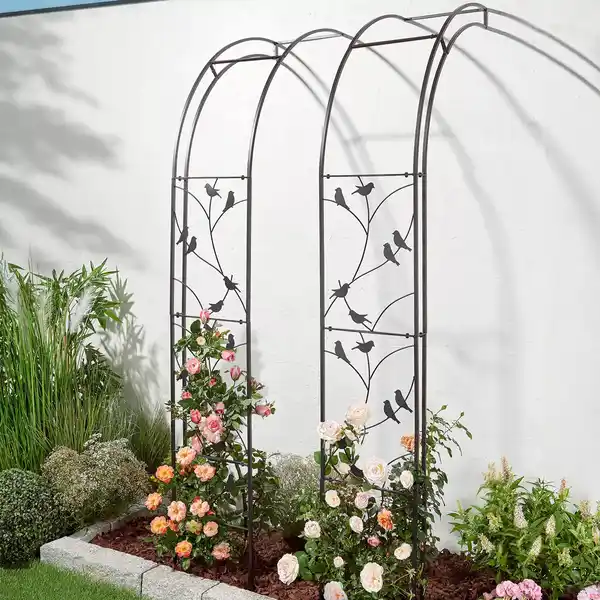 Bild 3 von BELAVI Rosenbogen