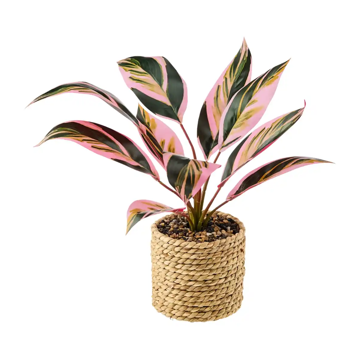 Bild 3 von HOME CREATION Künstliche Topfpflanze