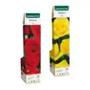 Bild 1 von GARDENLINE Edel- / Beet- / Kletterrose