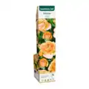 Bild 3 von GARDENLINE Edel- / Beet- / Kletterrose