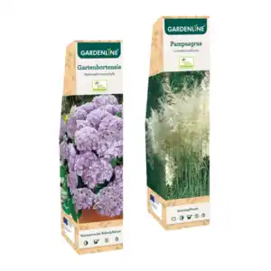 GARDENLINE Zierstrauch