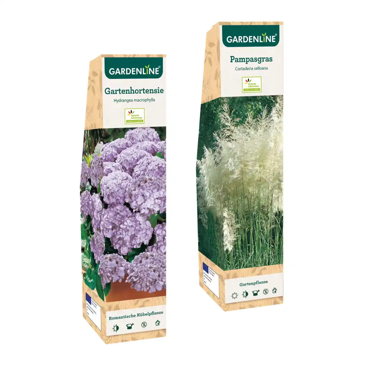 Bild 1 von GARDENLINE Zierstrauch