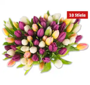 Tulpen „Hot & fresh“*