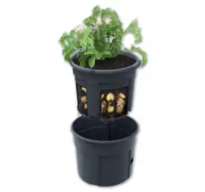 Kartoffelpflanztopf*