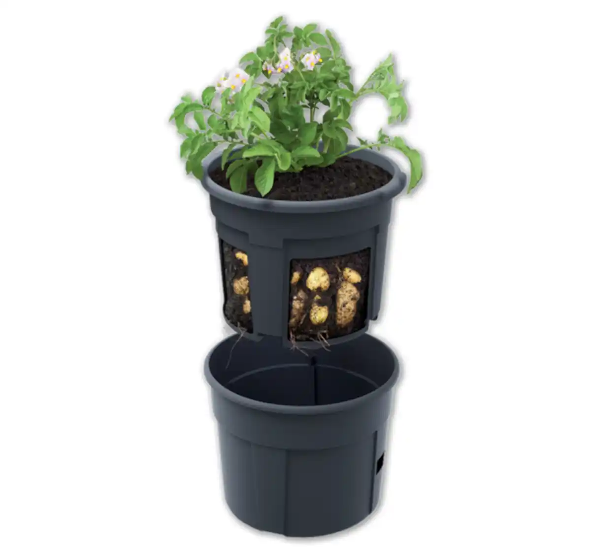Bild 1 von Kartoffelpflanztopf*
