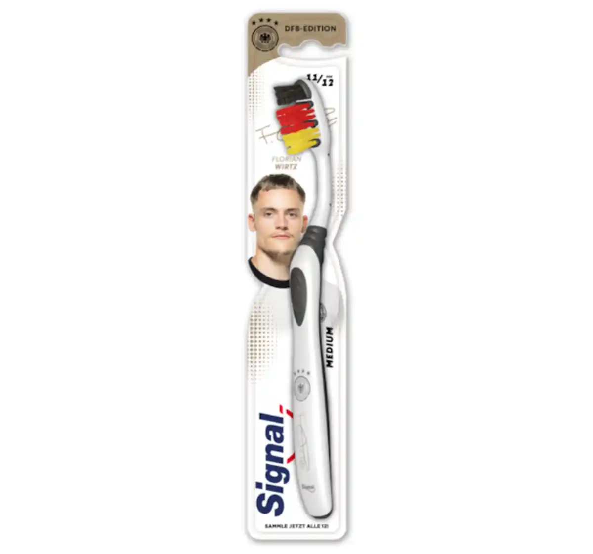 Bild 1 von SIGNAL Zahnbürste*