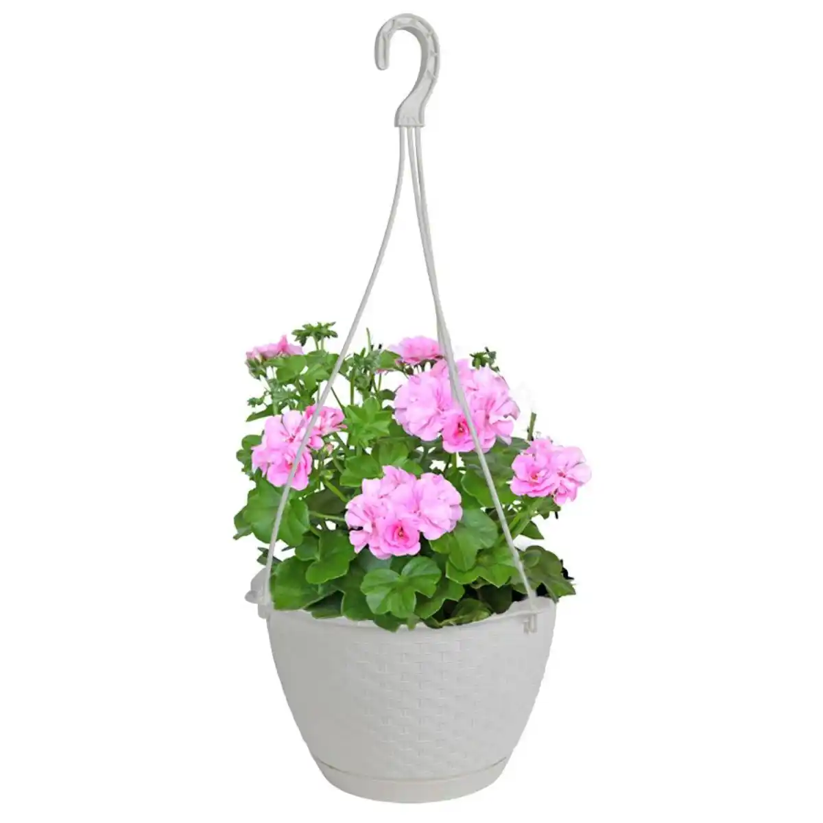 Bild 1 von Hängeampel Ratolla 24cm Weiß