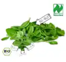Bild 1 von NATURGUT Bio-Babyspinat