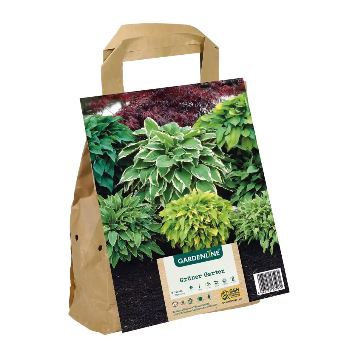 Bild 4 von GARDENLINE Blumenzwiebeln