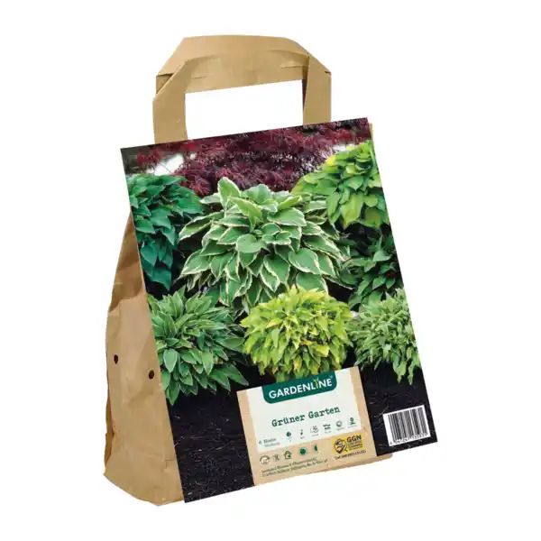 Bild 4 von GARDENLINE Blumenzwiebeln