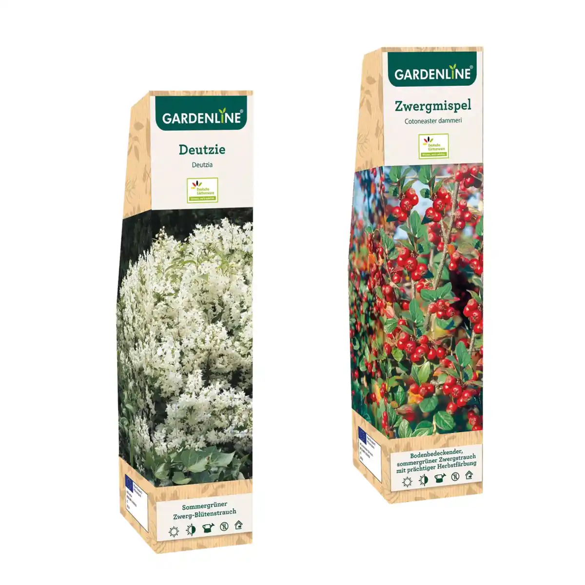 Bild 1 von GARDENLINE Zierstrauch