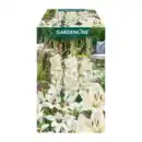 Bild 3 von GARDENLINE Blumenzwiebeln Farbmix