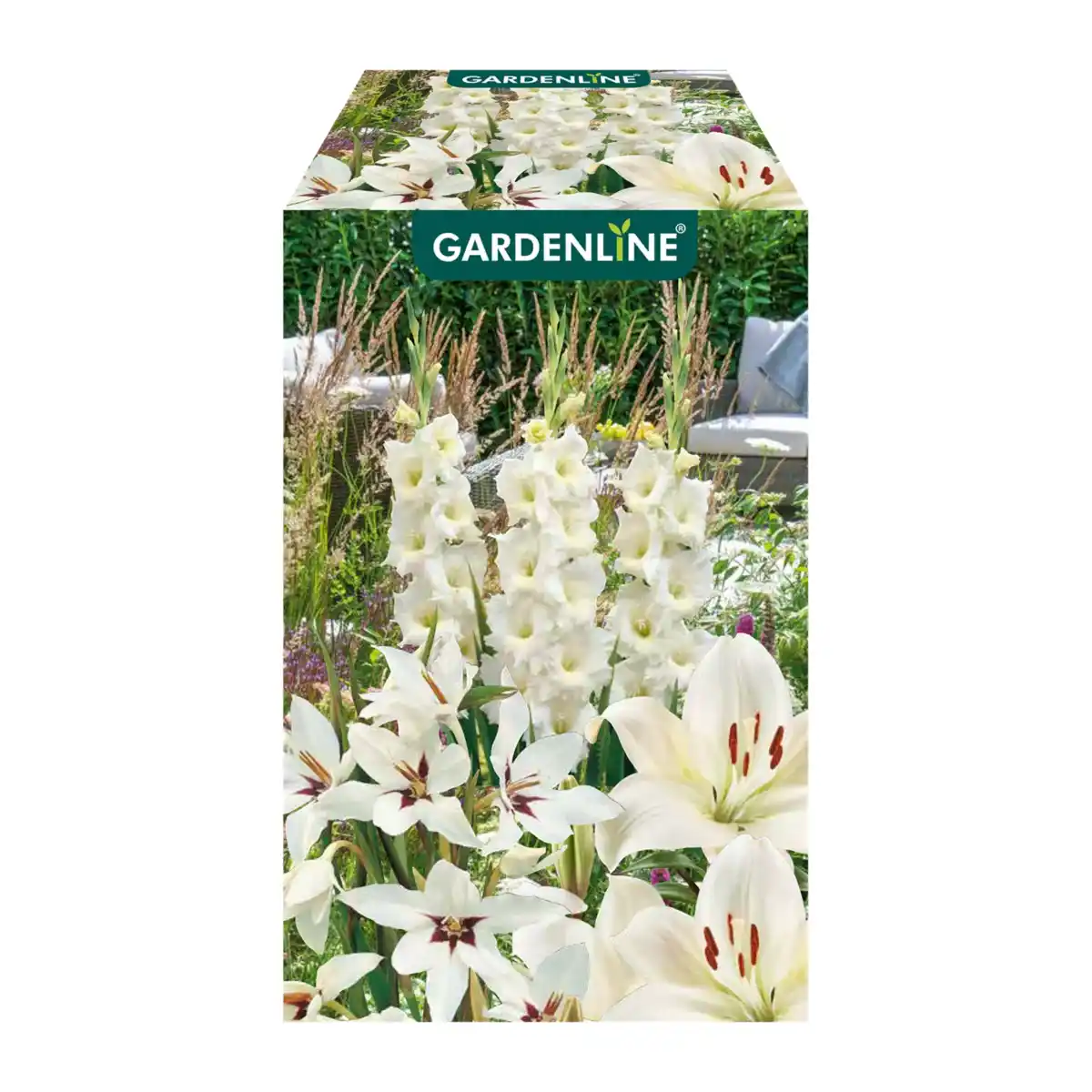 Bild 3 von GARDENLINE Blumenzwiebeln Farbmix