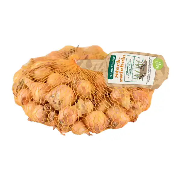 Bild 2 von GARDENLINE Steckzwiebeln