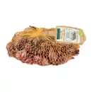 Bild 3 von GARDENLINE Steckzwiebeln