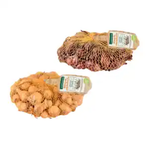 GARDENLINE Steckzwiebeln