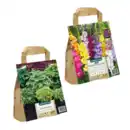 Bild 1 von GARDENLINE Blumenzwiebeln