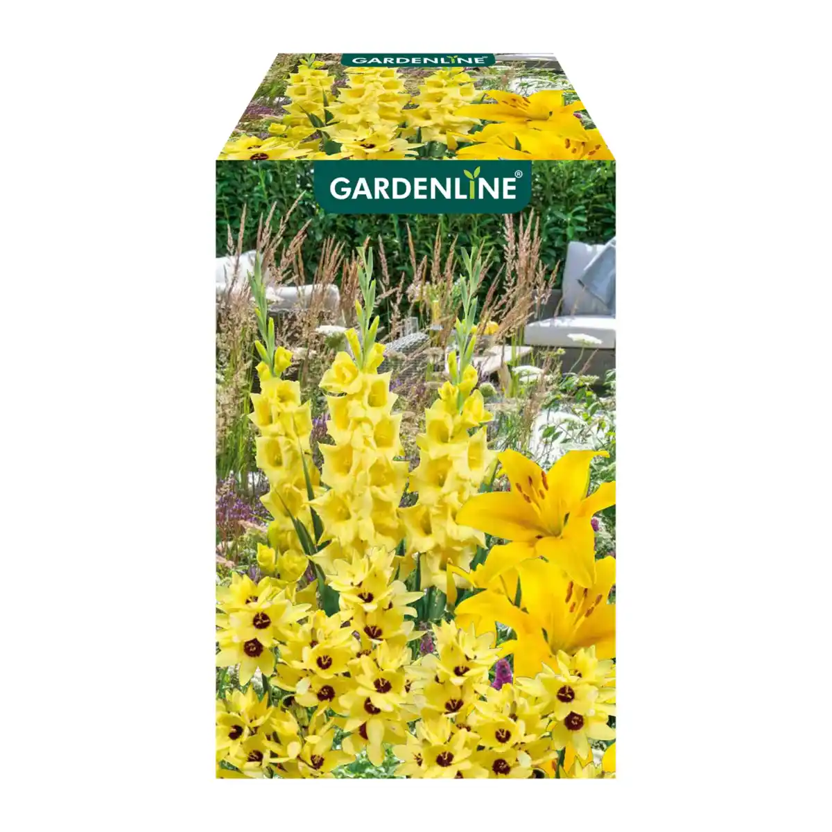 Bild 2 von GARDENLINE Blumenzwiebeln Farbmix