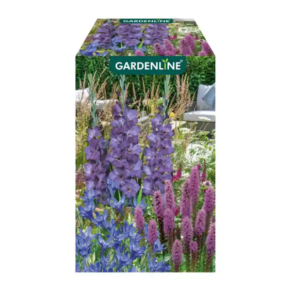 Bild 4 von GARDENLINE Blumenzwiebeln Farbmix