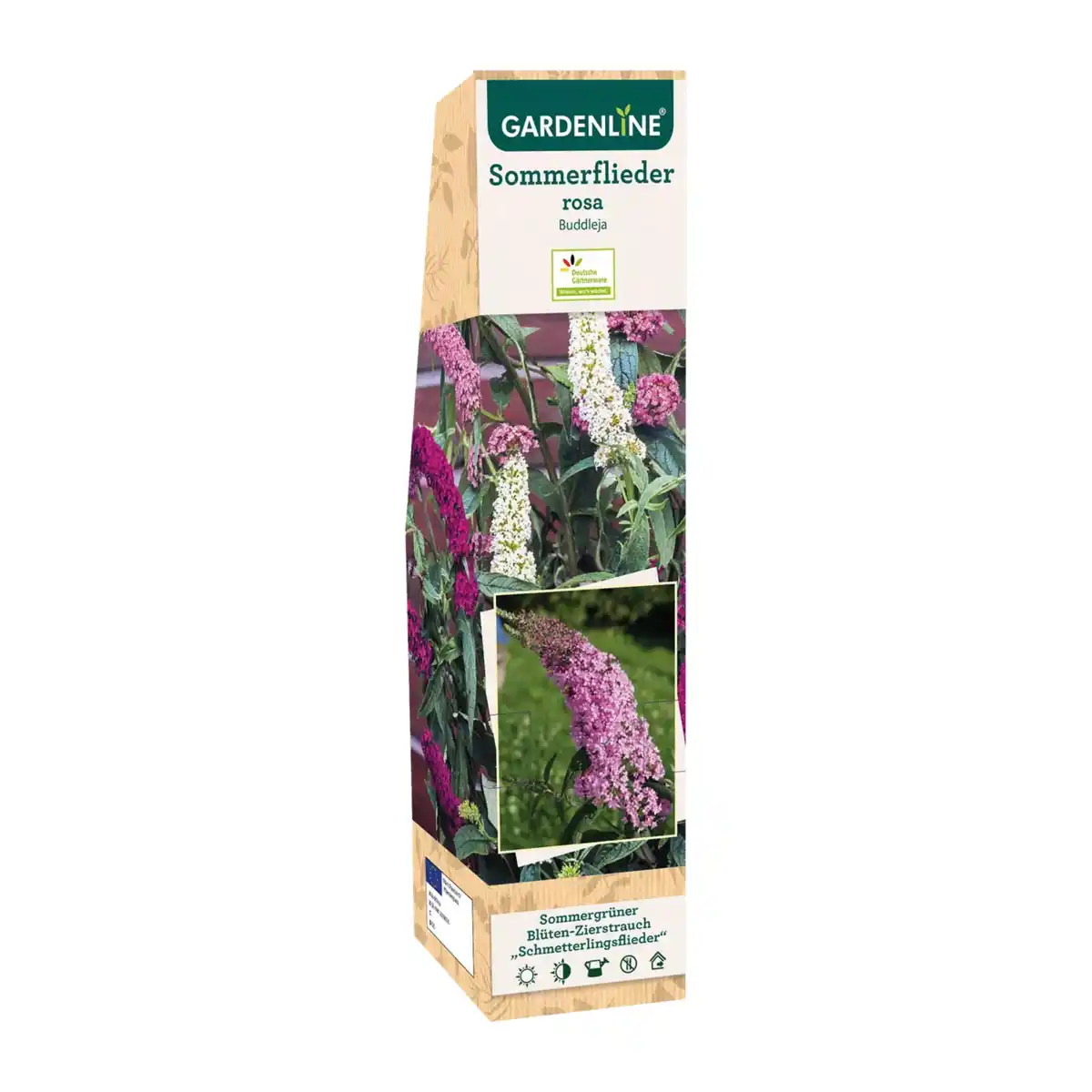 Bild 4 von GARDENLINE Zierstrauch