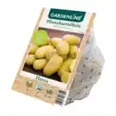 Bild 3 von GARDENLINE Premium-Pflanzkartoffeln