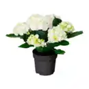 Bild 2 von GARDENLINE Hortensien-Busch