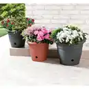 Bild 1 von Powertec Garden Blumentopf "Flora"