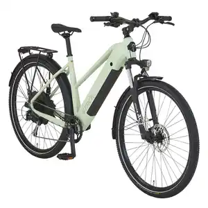 Prophete E-Bike ATB Stack 2.9 Damen Salbeigrün Matt 29 Zoll