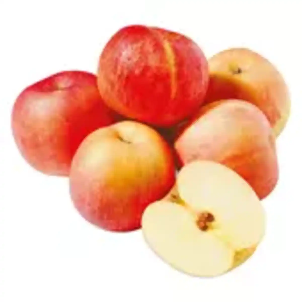 Bild 1 von GO Regio Gala