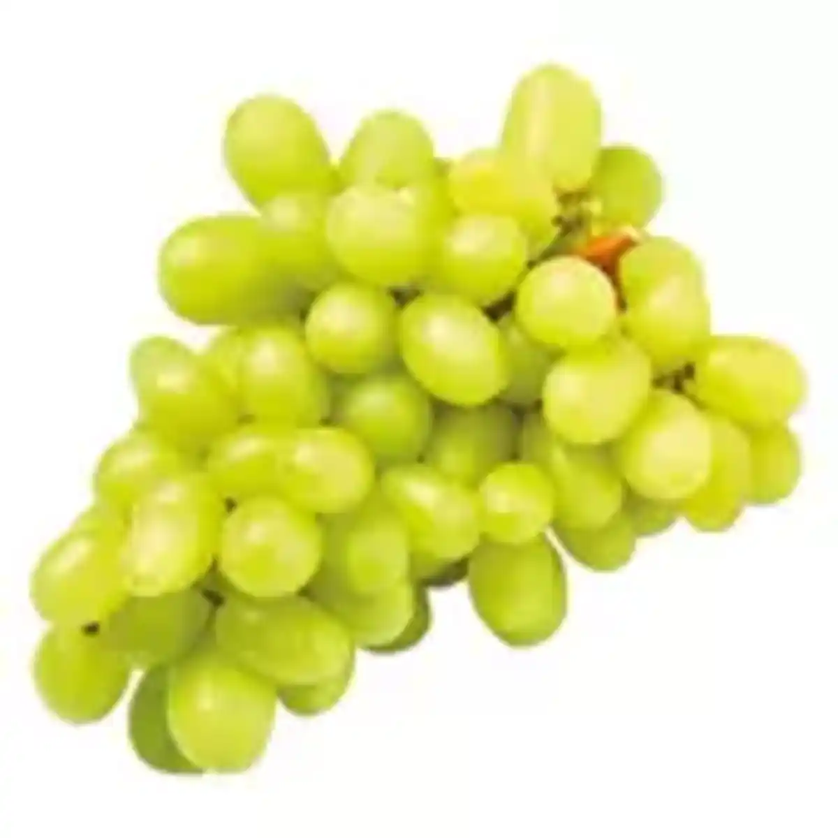 Bild 1 von Trauben kernlos