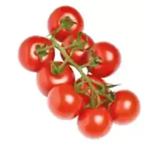 Cocktail-Rispentomaten