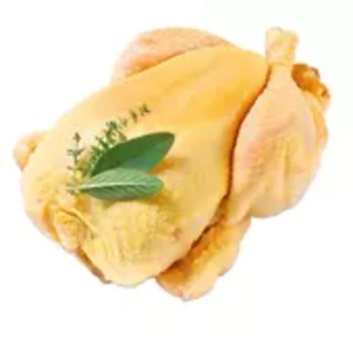 Bild 1 von Frisches spanisches Maishähnchen