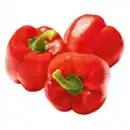 Bild 1 von Paprika rot