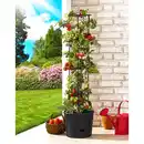 Bild 1 von Powertec Garden Tomatenturm