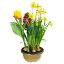 Bild 1 von GARDENLINE Frühlingsgarten