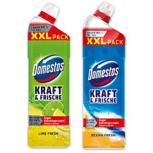 Domestos Kraft & Frische WC Gel