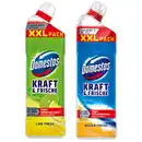 Bild 1 von Domestos Kraft & Frische WC Gel